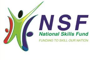 National Skills Fund South Africa